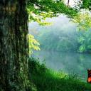 旅游相册.105984清新素雅摄影旅行照片PPT模板电子相册