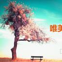 旅游相册.90064唯美户外旅游介绍摄影PPT模板