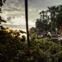 其他.哈苏大师获奖作品集.2008.Benjamin Antony Monn 本杰明·安东尼·蒙.个人项目.Wilderness_Luxury_Safaris_Botswana