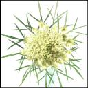 其他.哈苏大师获奖作品集.2008.Gregor Halenda 格雷戈尔·哈伦达.个人项目.个人