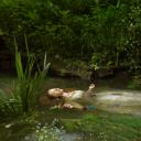 其他.哈苏大师获奖作品集.2008.Julia Fullerton-Batten 朱莉娅·富勒顿-巴顿.个人项目.美术.OLD_FATHER_THAMES,_2018