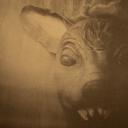 其他.哈苏大师获奖作品集.2008.Morfi Jimenez Mercado 莫菲希门尼斯.个人项目.Untitled_XIII_The_unreal