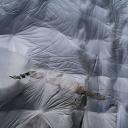 其他.哈苏大师获奖作品集.2010.Stephan Zirwes.个人项目.Covered_Glaciers_2017