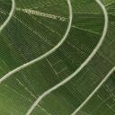 其他.哈苏大师获奖作品集.Stephan Zirwes.个人项目.Vineyards_2010