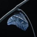 其他.哈苏大师获奖作品集.2012.TOM D. JONES.个人项目.巴比龙