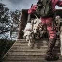 其他.哈苏大师获奖作品集.2014.ANTONIO PEDROSA.姿态与猎物