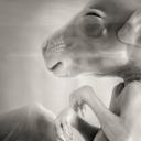 其他.哈苏大师获奖作品集.2014.Rafael Rojas 拉斐尔·罗哈斯.个人项目.仍然