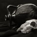 其他.哈苏大师获奖作品集.2014.Rafael Rojas 拉斐尔·罗哈斯.个人项目.瓦比生活