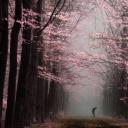 其他.哈苏大师获奖作品集.2016.Lars van de Goor.个人作品集.Being_in_Magic