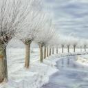 其他.哈苏大师获奖作品集.2016.Lars van de Goor.个人作品集.Cold_Beauty