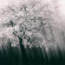 其他.哈苏大师获奖作品集.2016.Lars van de Goor.个人作品集.Larsochrome