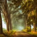 其他.哈苏大师获奖作品集.2016.Lars van de Goor.个人作品集.Like_a_painting