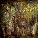 其他.哈苏大师获奖作品集.2016.Lars van de Goor.个人作品集.With_Elven_Eyes