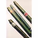 其他.哈苏大师获奖作品集.2018.Marcin Gizycki.个人项目