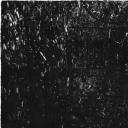 其他.韩国摄影师作品合集.Jungjin Lee.作品.沼泽地——李正进