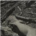 其他.韩国摄影师作品合集.Jungjin Lee.作品.自画像——李正镇