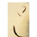 其他.韩国摄影师作品合集.Kim Shinwook.EH_HAE_DOE,_어해도_2007_–_SHINWOOKKIM