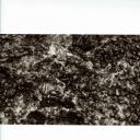 其他.韩国摄影师作品合集.Kim Shinwook.树_2005_–_Shinwookim