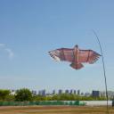 其他.韩国摄影师作品合集.Kim Shinwook.边缘地带_2021_–_Shinwookim