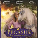 翅膀折断的小马