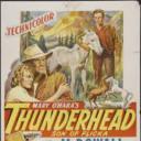 高原の白馬 (日版DVD片名)