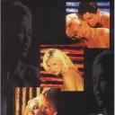 偷拍和埋伏.海报