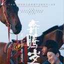 奔腾岁月
