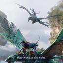 阿凡达3：带种者