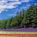 北海道：众神的花园