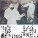 蔷花红莲传