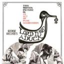 聪明笨伯小娇娃.海报