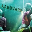 Aardvark