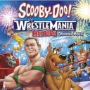 史酷比！格斗狂热迷.海报