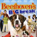 无敌当家6：明星贝多芬