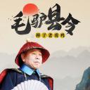 毛驴县令之棒子老虎鸡.海报