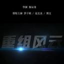 重组风云