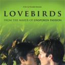 爱情鸟.海报