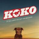 Koko:红犬历险记