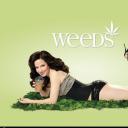 单身毒妈 第一季