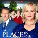 家的港湾 第五季