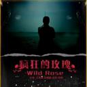 疯狂的玫瑰.海报