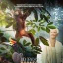 朱迪·丹奇：婆罗洲狂野奇遇