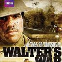 沃尔特的战争