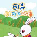 回声——小兔淘淘的故事.海报