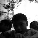 口袋里的花剧照