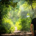 梦寻巴厘岛剧照