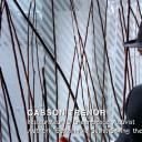 寿司与全球渔获剧照