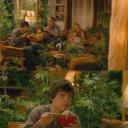 我家种大麻剧照