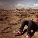 寻找仙人掌剧照