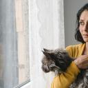 功能失常的猫剧照